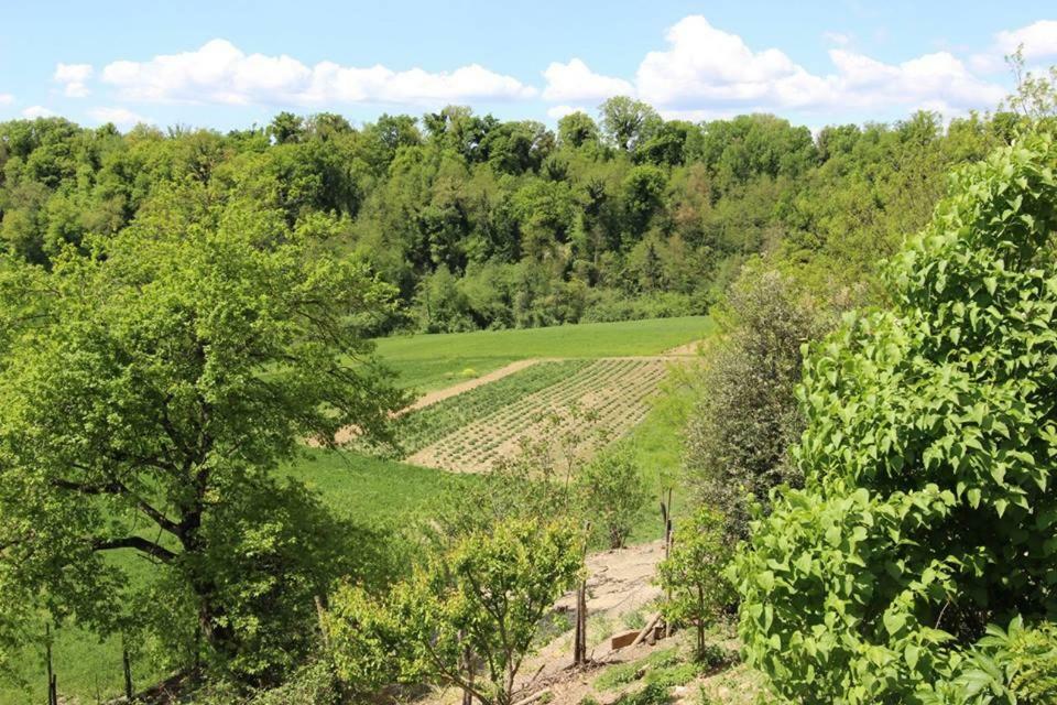 Agriturismo Stazione Di Monta Villa Vicchio Exteriör bild